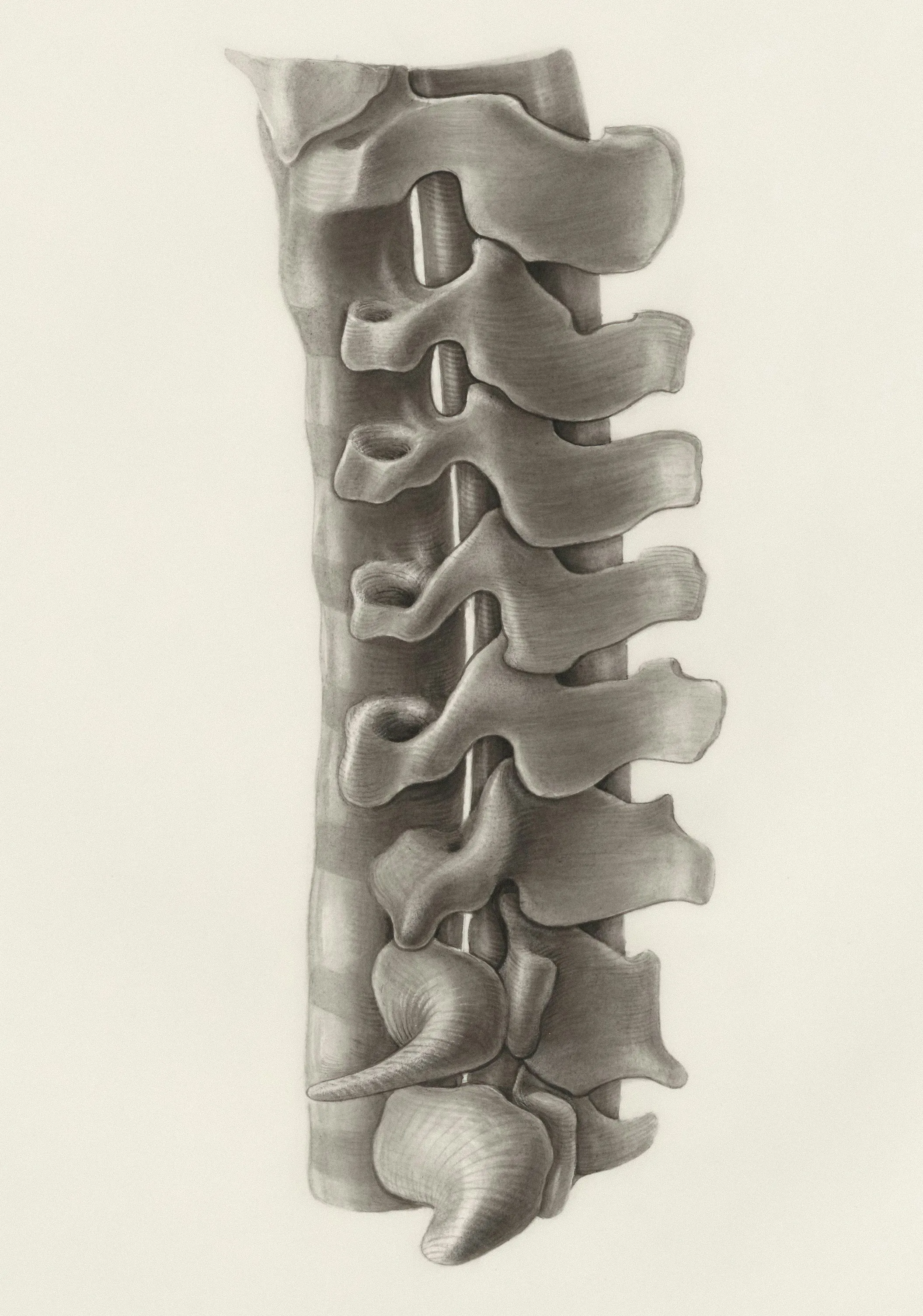 Seating, Posture, and Lower Back Pain